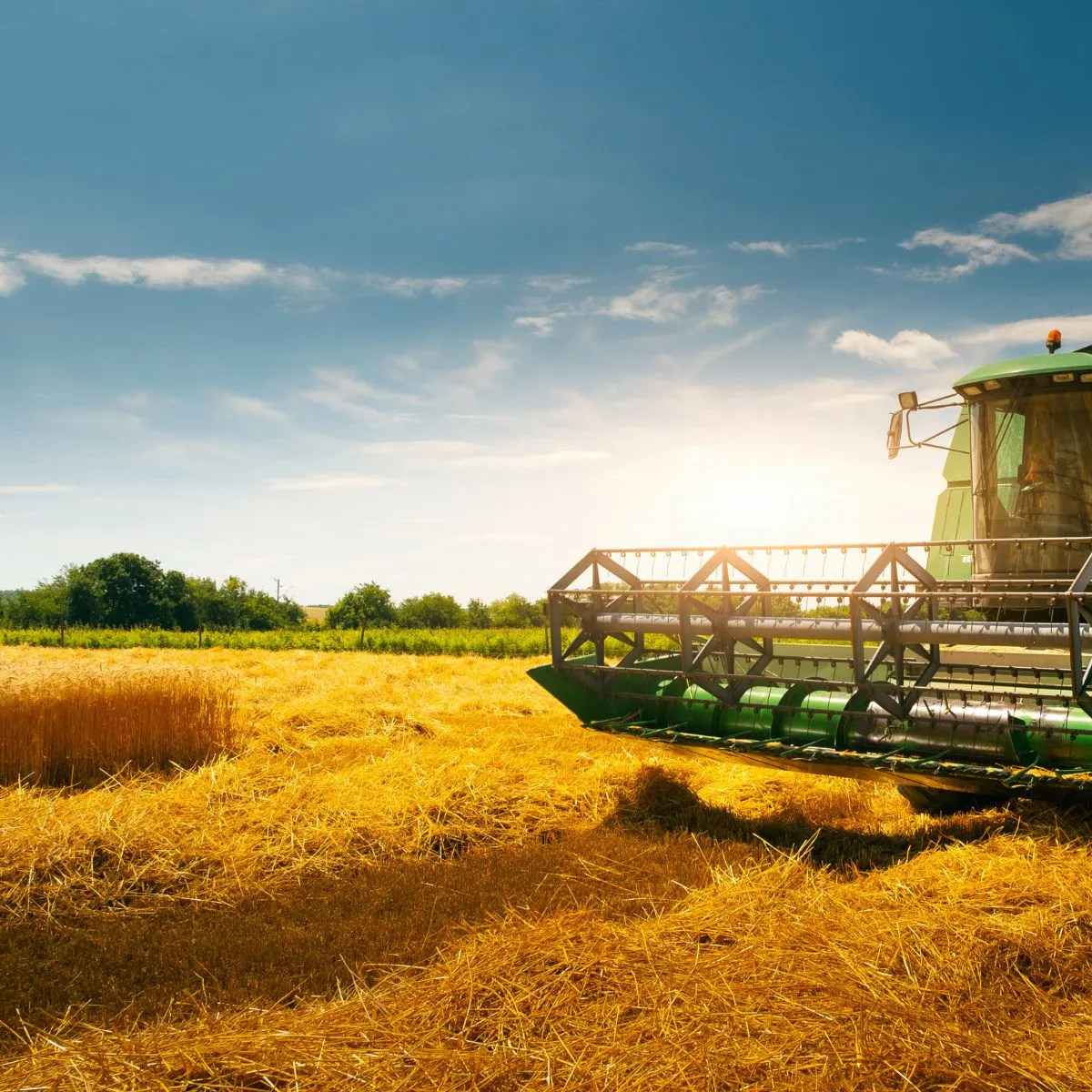 Agriculture-Sourcing-Company-Canada