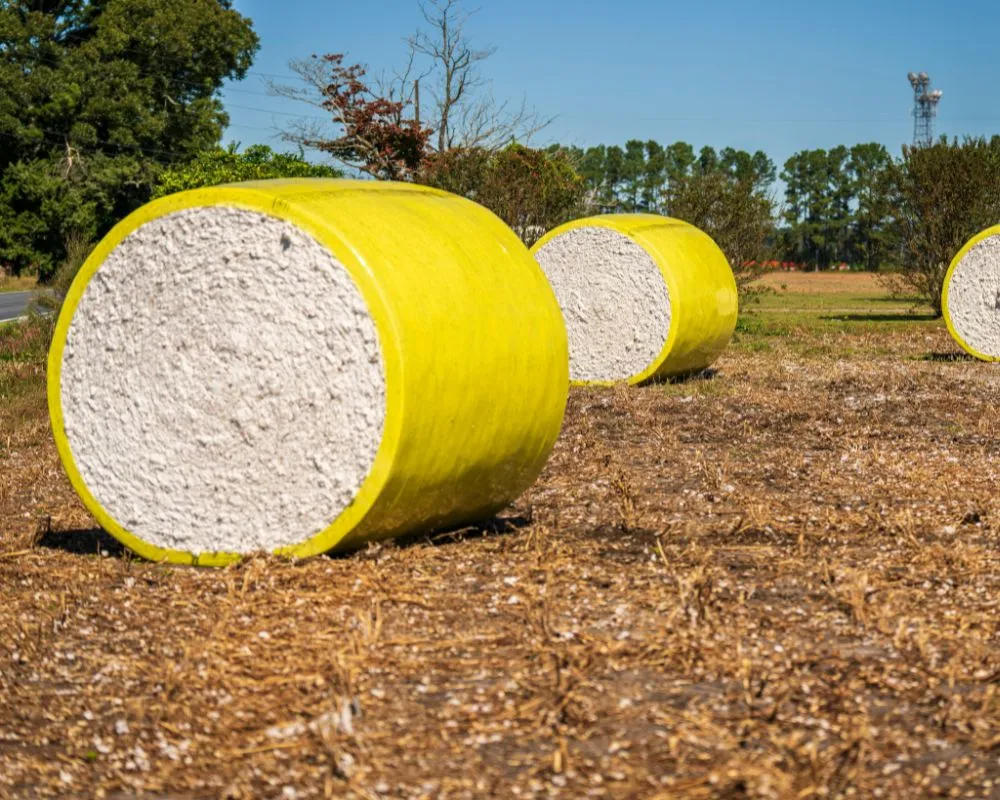 Cotton and textiles agriculture sourcing in France
