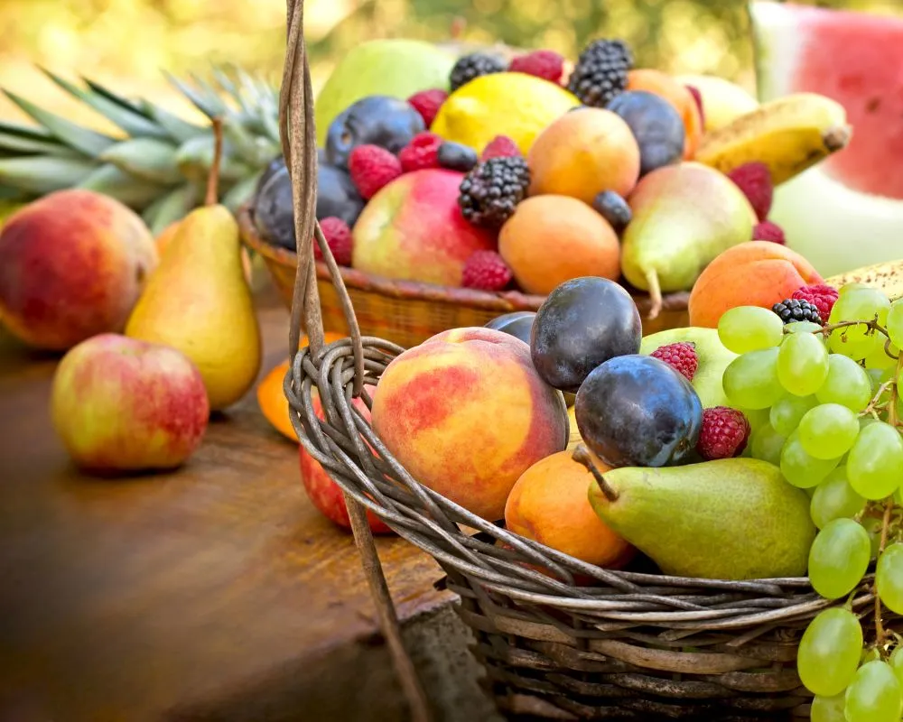 Fresh fruits agriculture sourcing in France