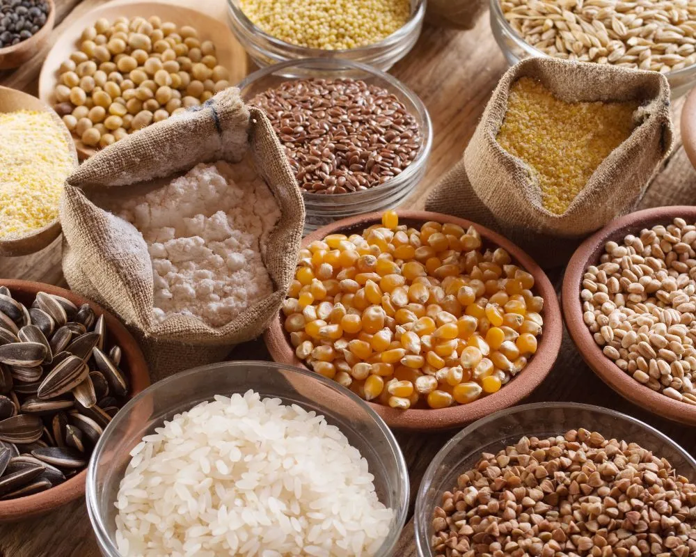 Grains pulses agriculture sourcing in France