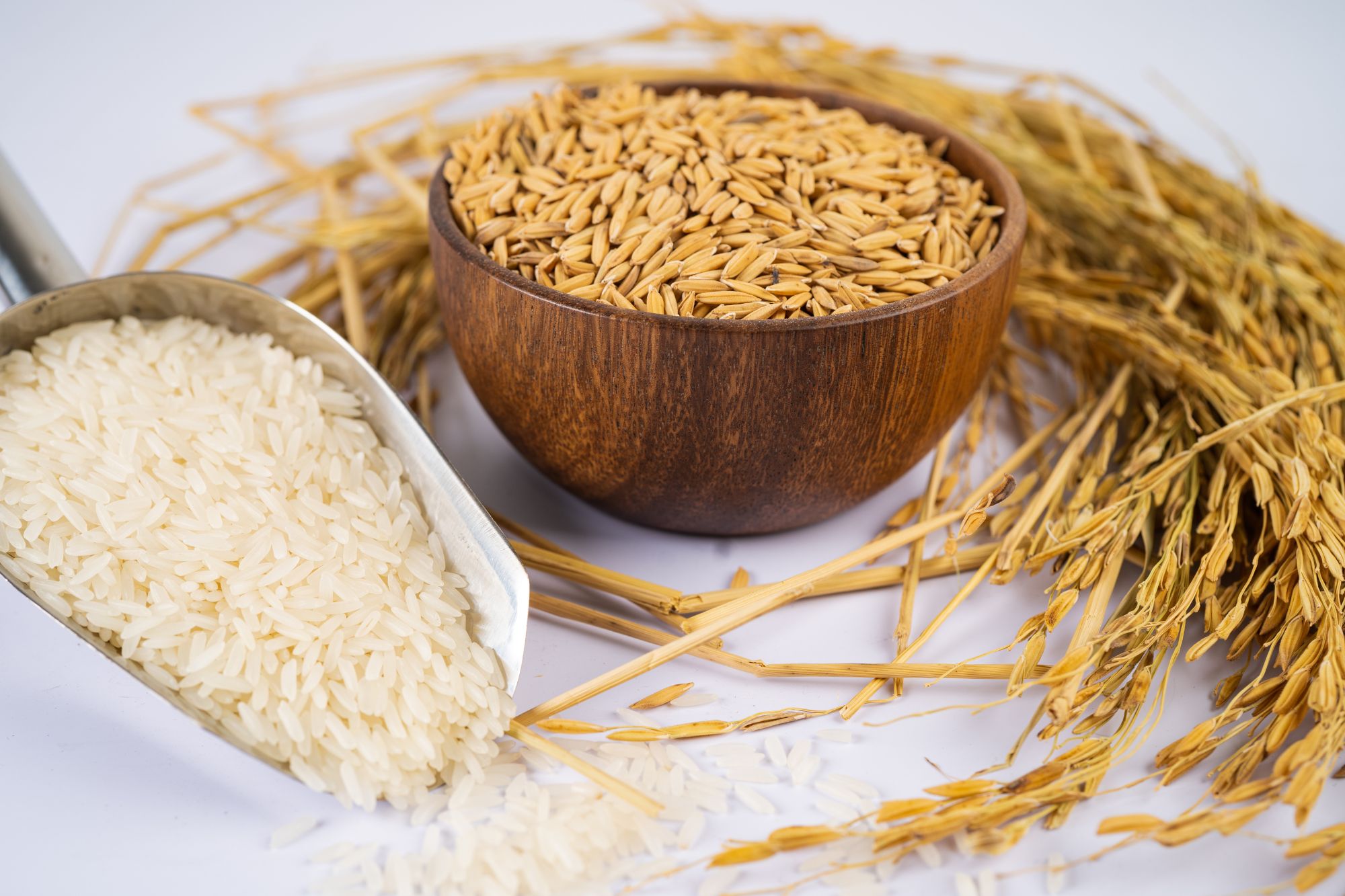 Rice