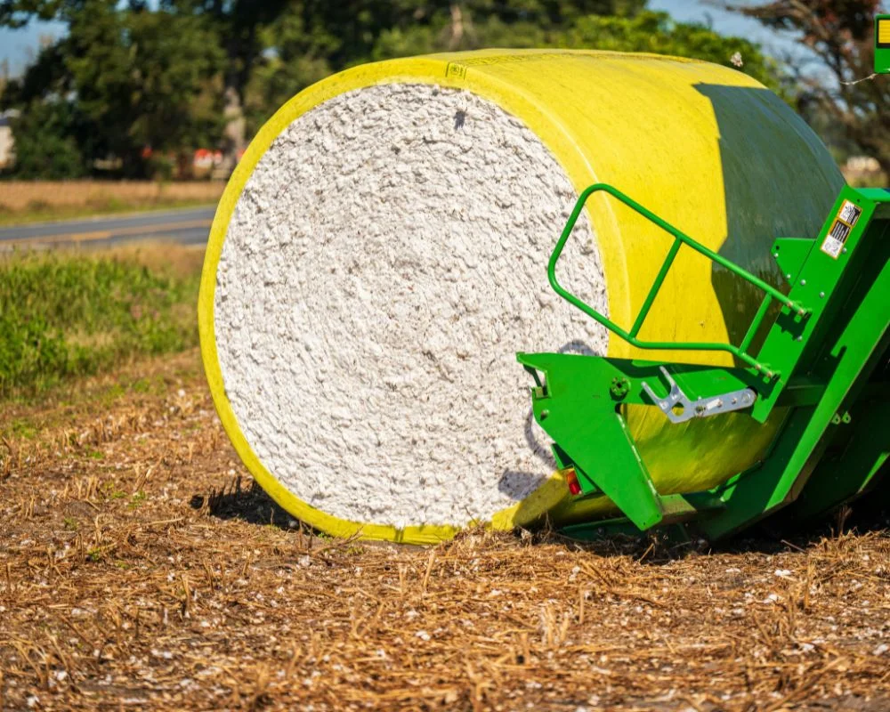 Cotton and textiles agriculture sourcing in Italy