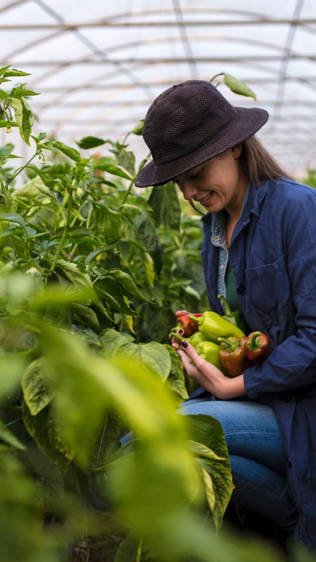 Agriculture Sourcing Company Germany