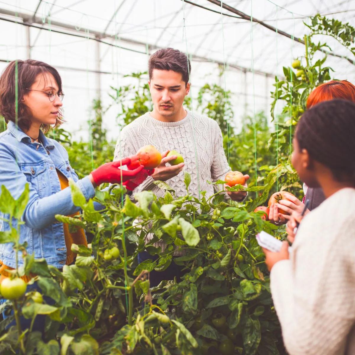 Best Agriculture Sourcing Company Germany