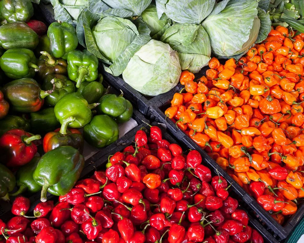 Vegetables Importers in Germany