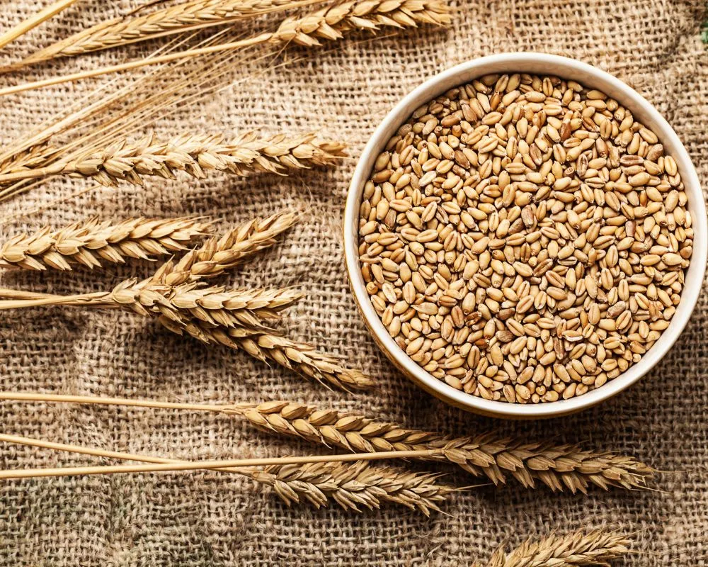 Agriculture Sourcing in Germany